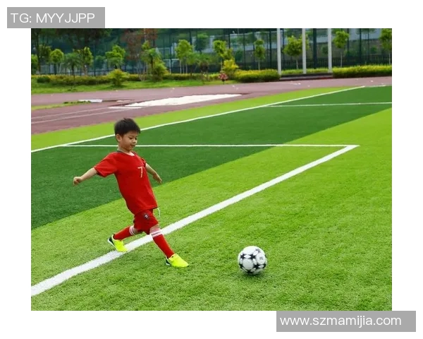 足球明星巴洛特的传奇人生与场上风采解析